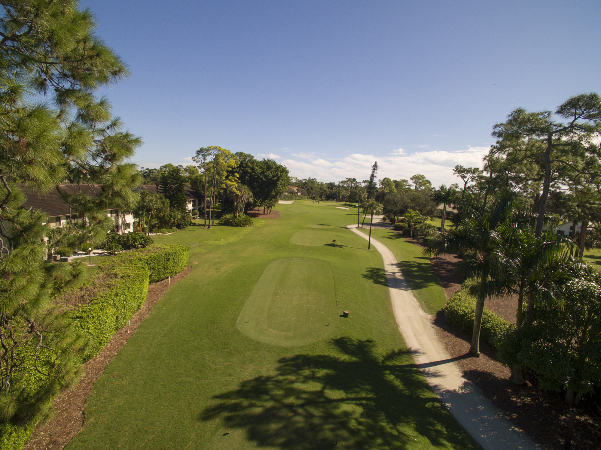 royal-palm-hole-13-tee