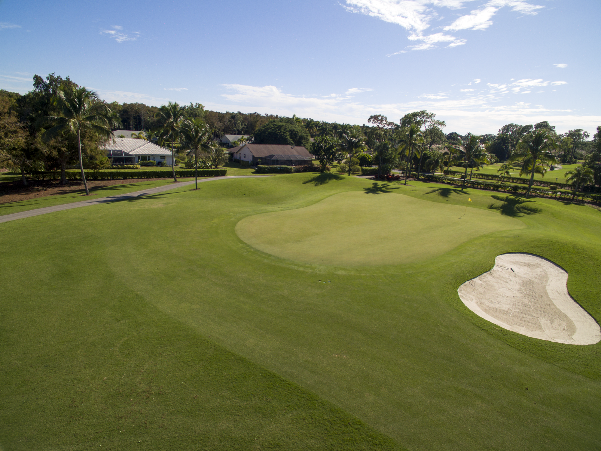 royal-palm-hole-16-green