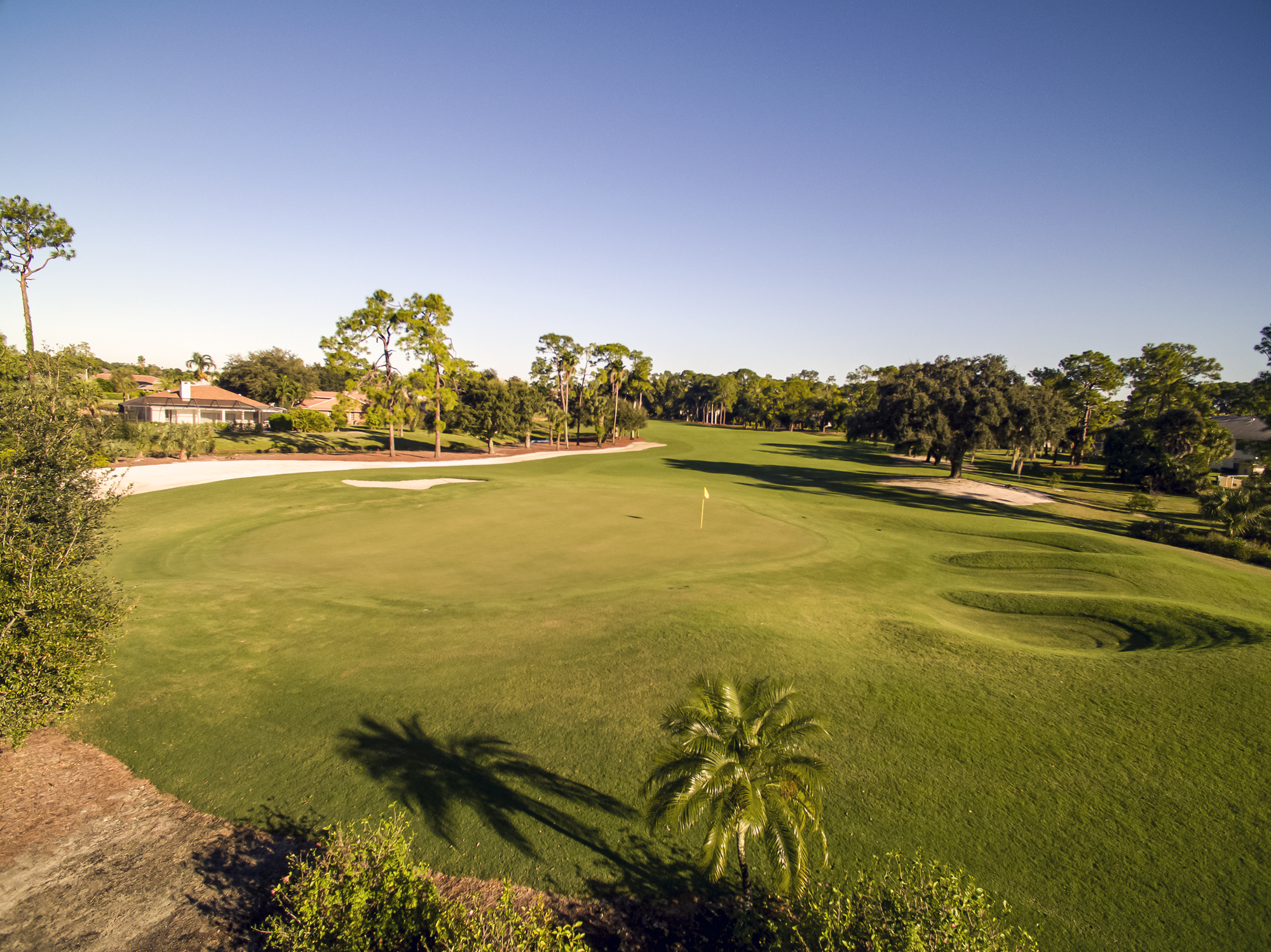 royal-palm-hole-6-green