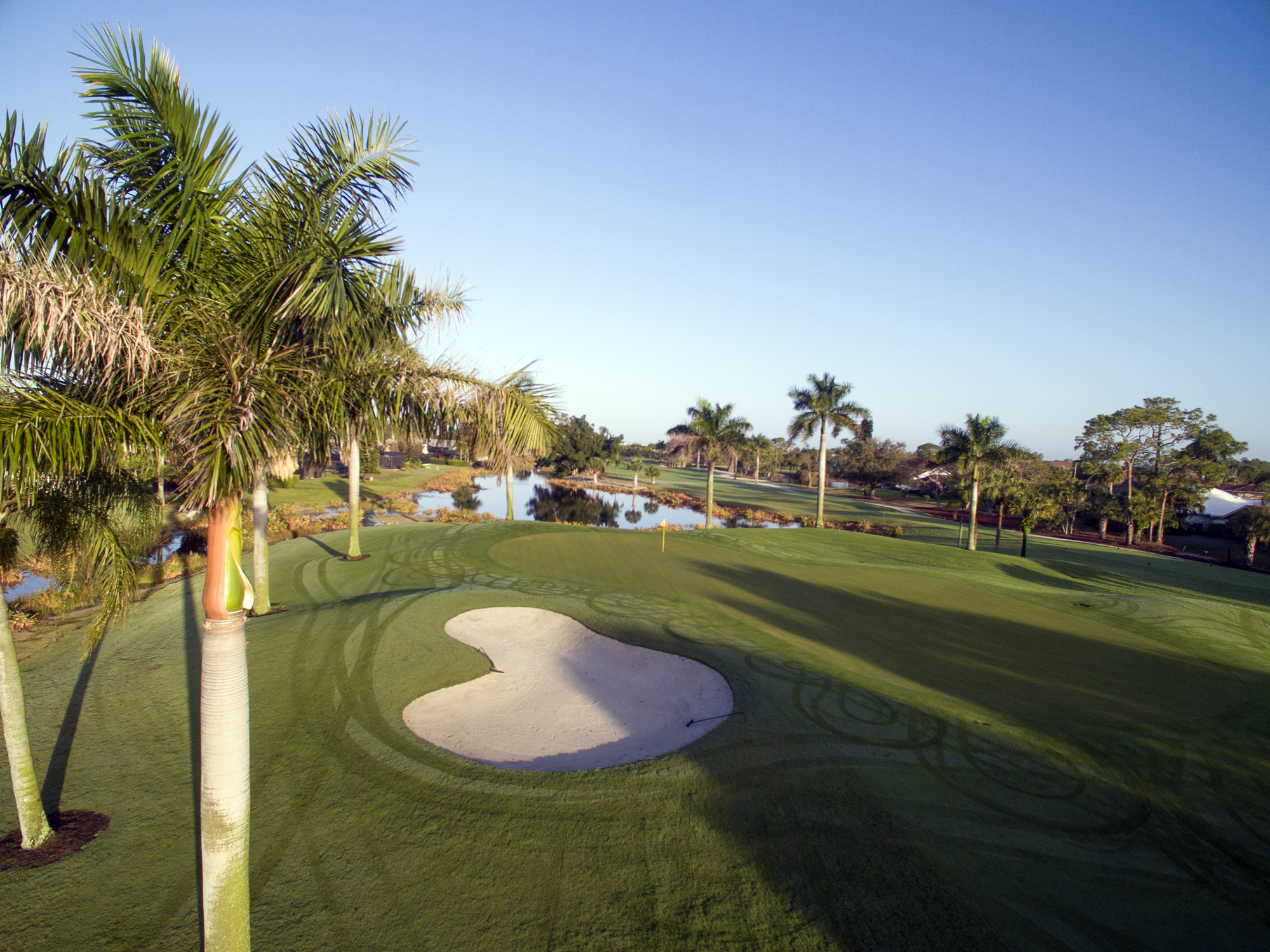 royal-palm-hole-1-green