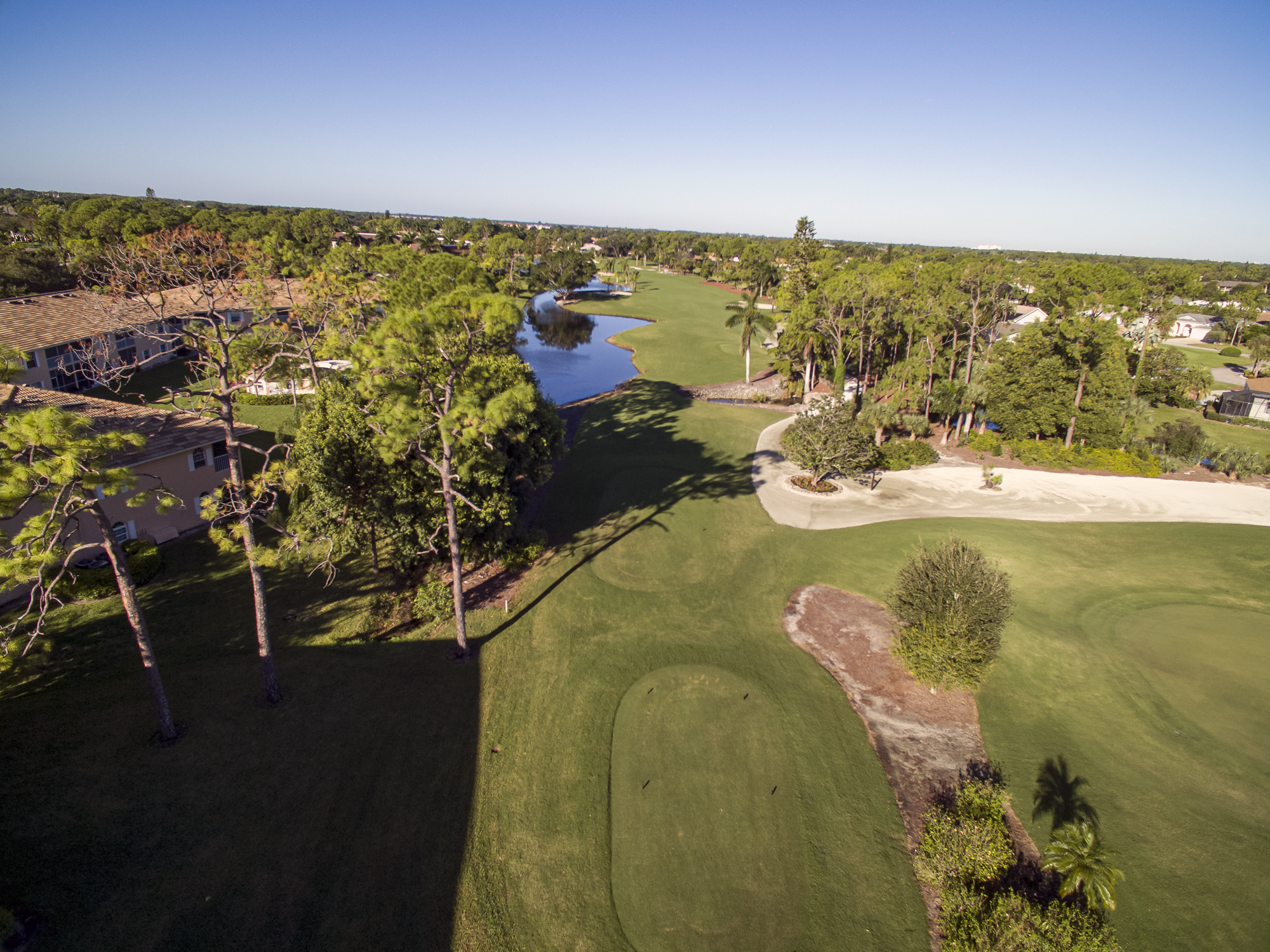 royal-palm-hole-7-tee