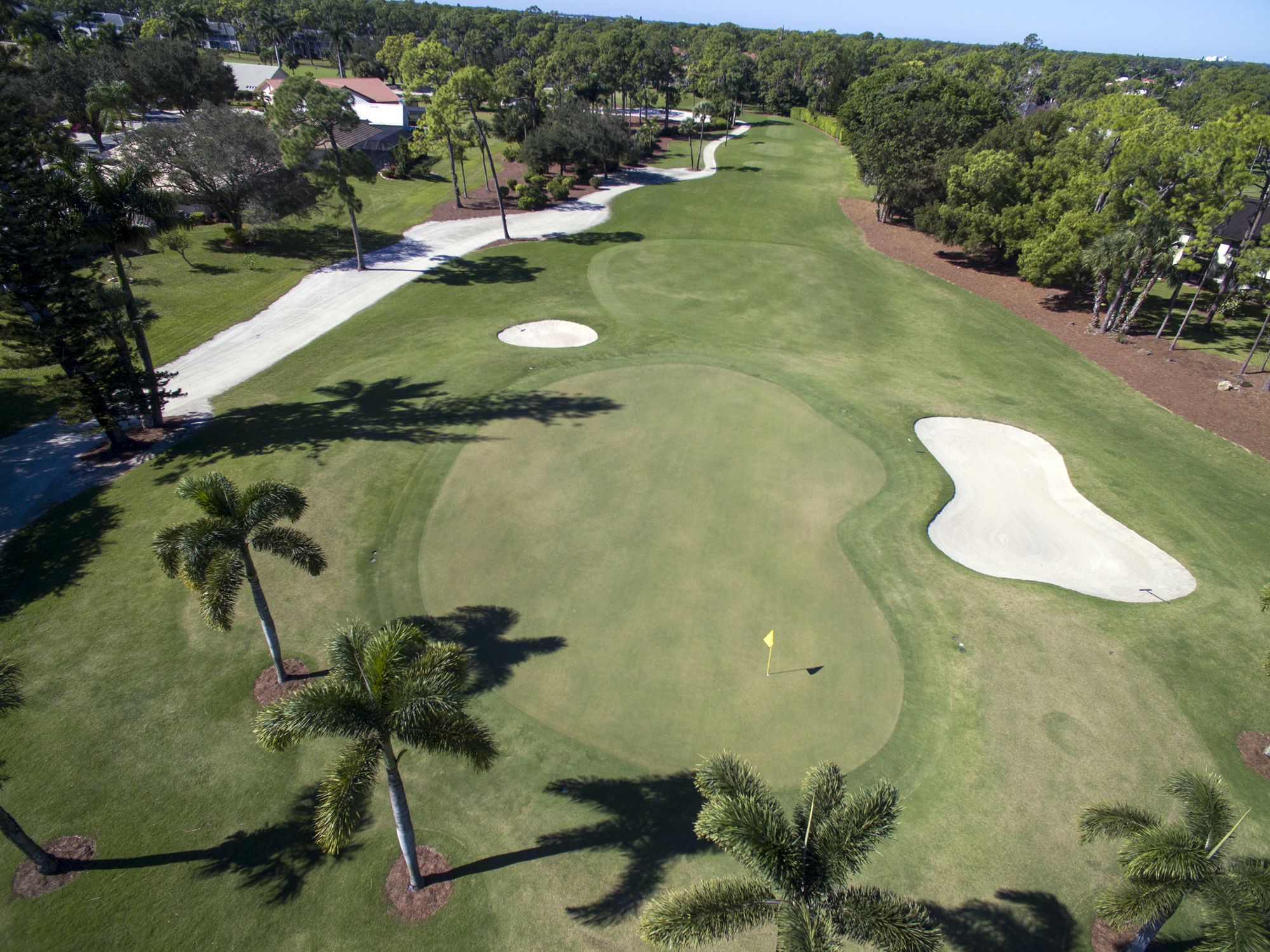 royal-palm-hole-13-green