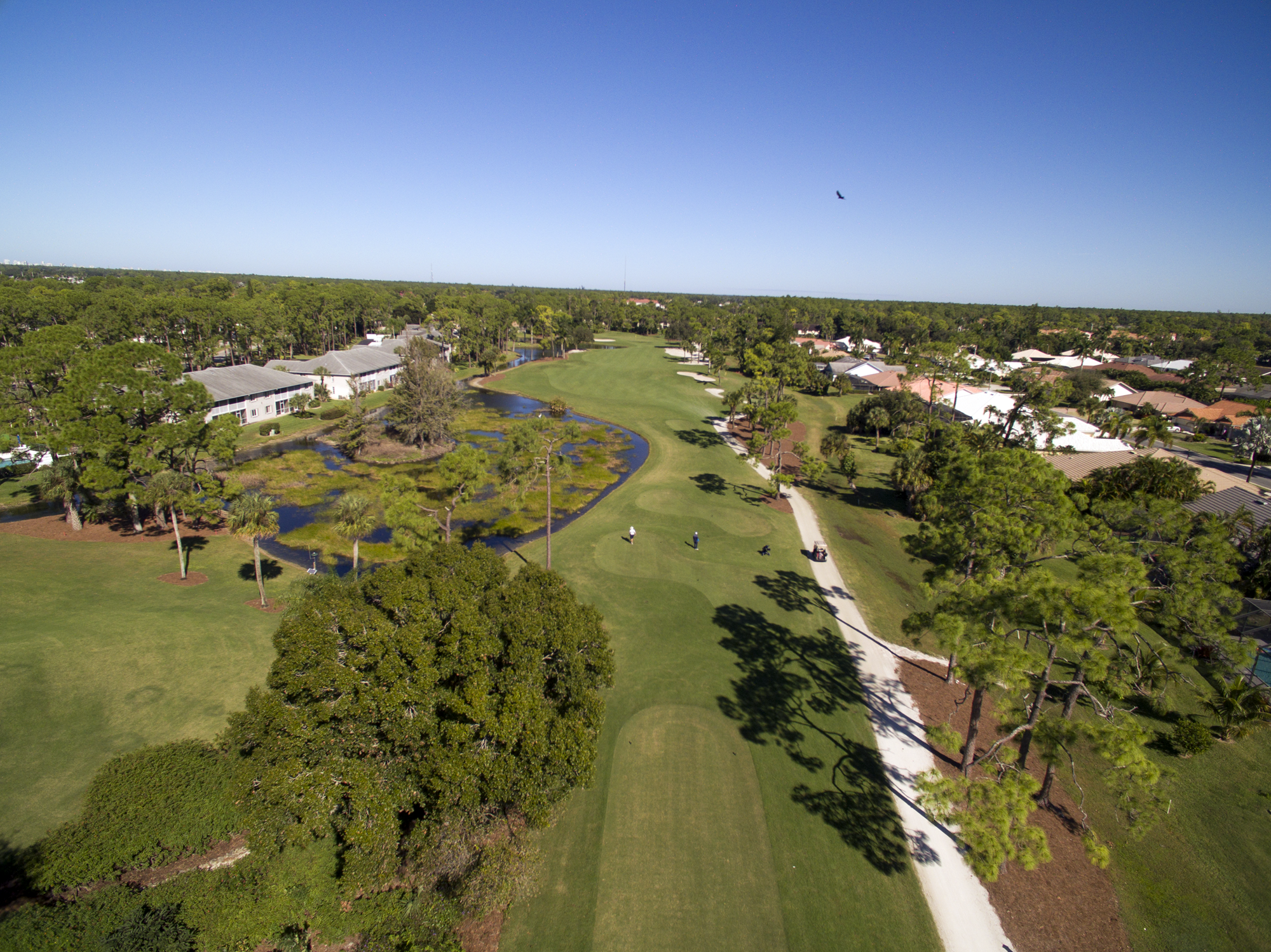 royal-palm-hole-12-tee