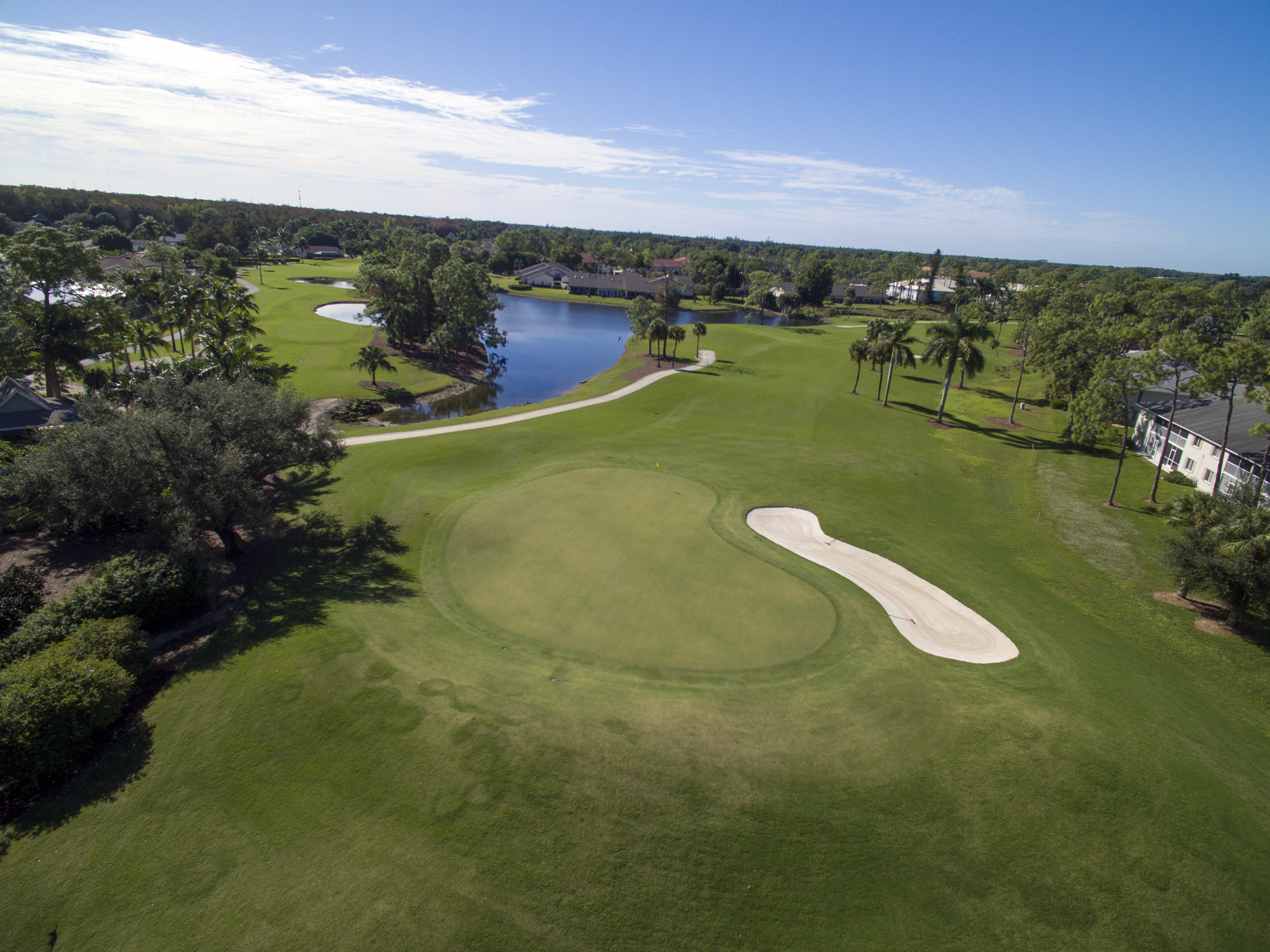 royal-palm-hole-11-green