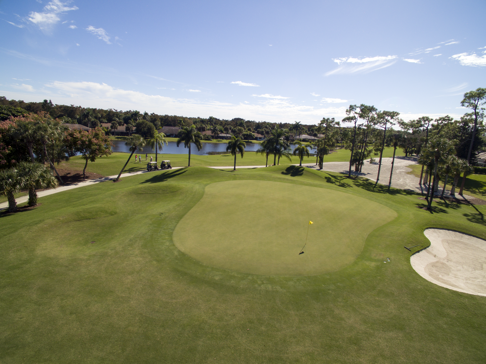 royal-palm-hole-14-green